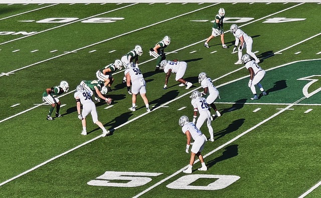 德天空：除拜仁外所有德甲俱乐部均有意波鸿19岁中场伦茨