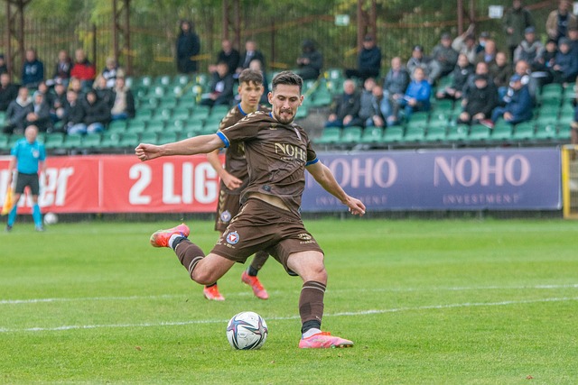 场上的明星 场上的明星