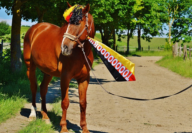 刘少昂近年 刘少昂近年