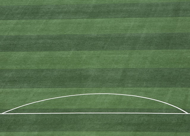 争中得以立 争中得以立