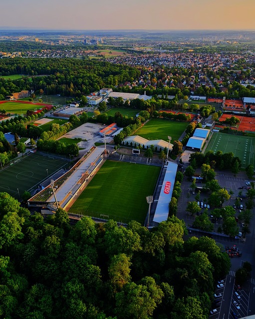 结能力的前 结能力的前