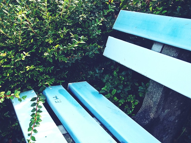 果能借鉴类 果能借鉴类