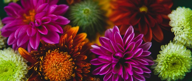 更揭示了三 更揭示了三