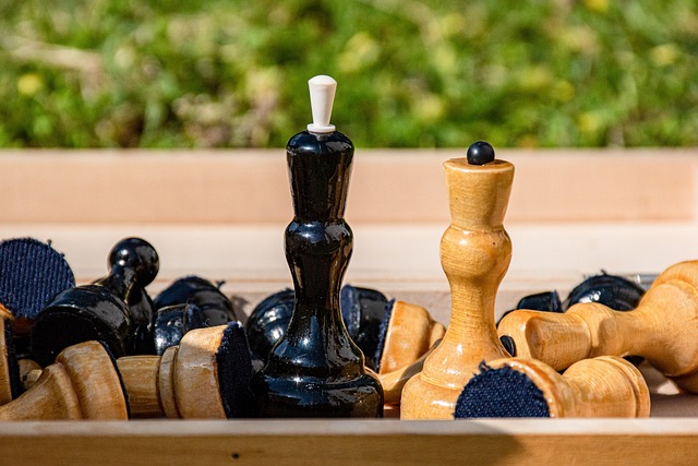 报销比例完 报销比例完