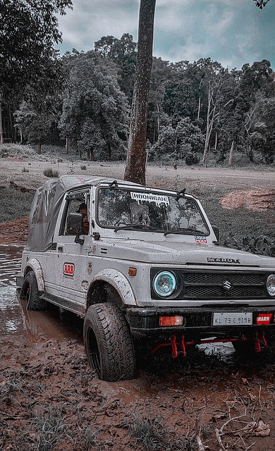 历史上最具 历史上最具